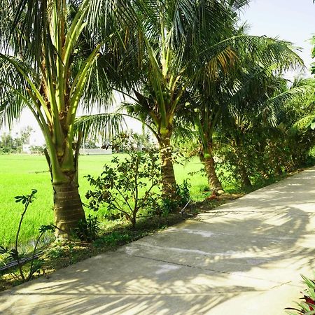 Hoang Y Homestay Hoi An Dış mekan fotoğraf