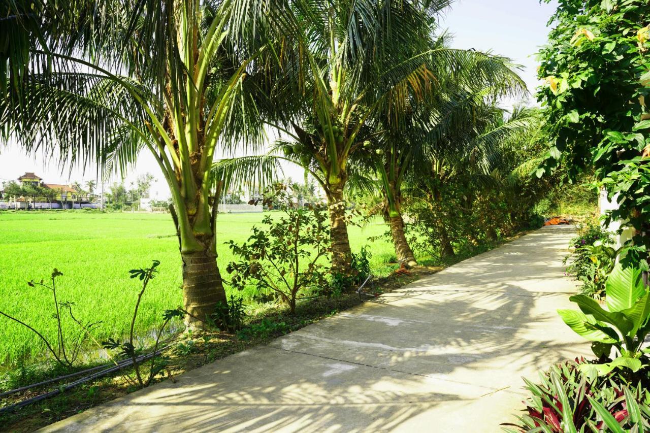 Hoang Y Homestay Hoi An Dış mekan fotoğraf