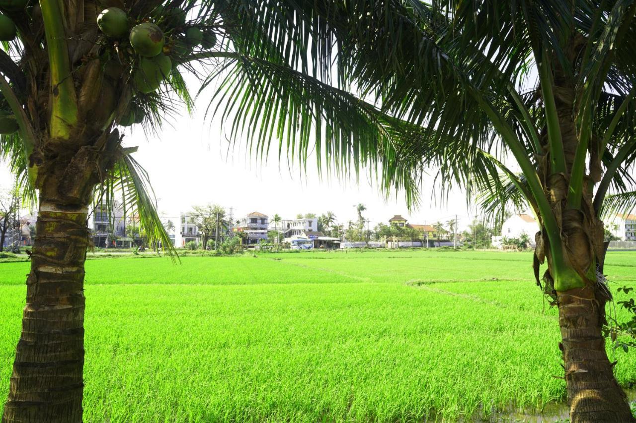 Hoang Y Homestay Hoi An Dış mekan fotoğraf